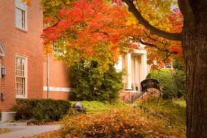 Fall trees outside a campus building