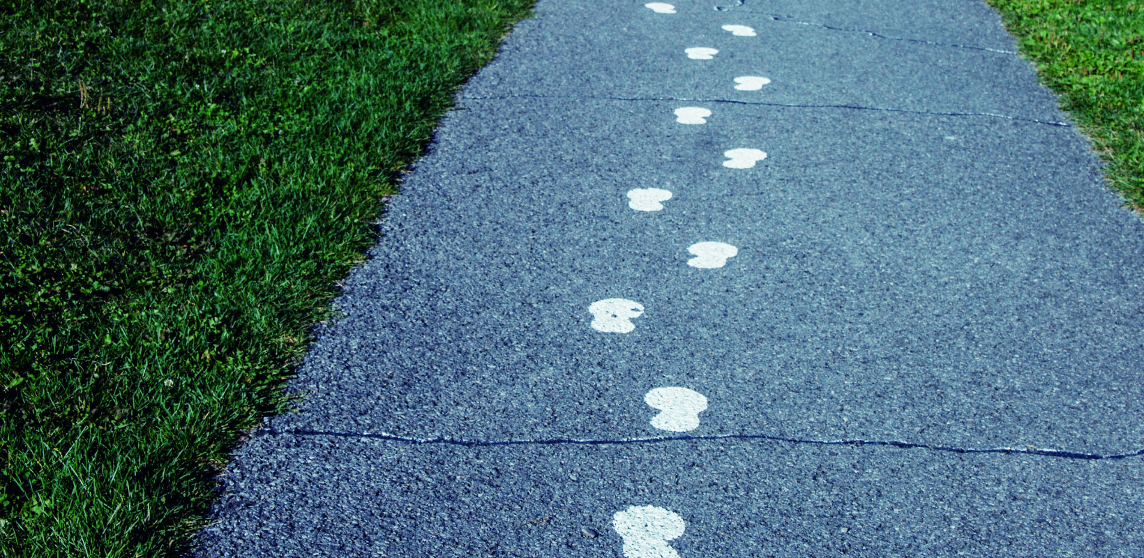 6 Tips for Confident Marketing Tracking