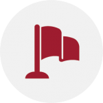 flag icon
