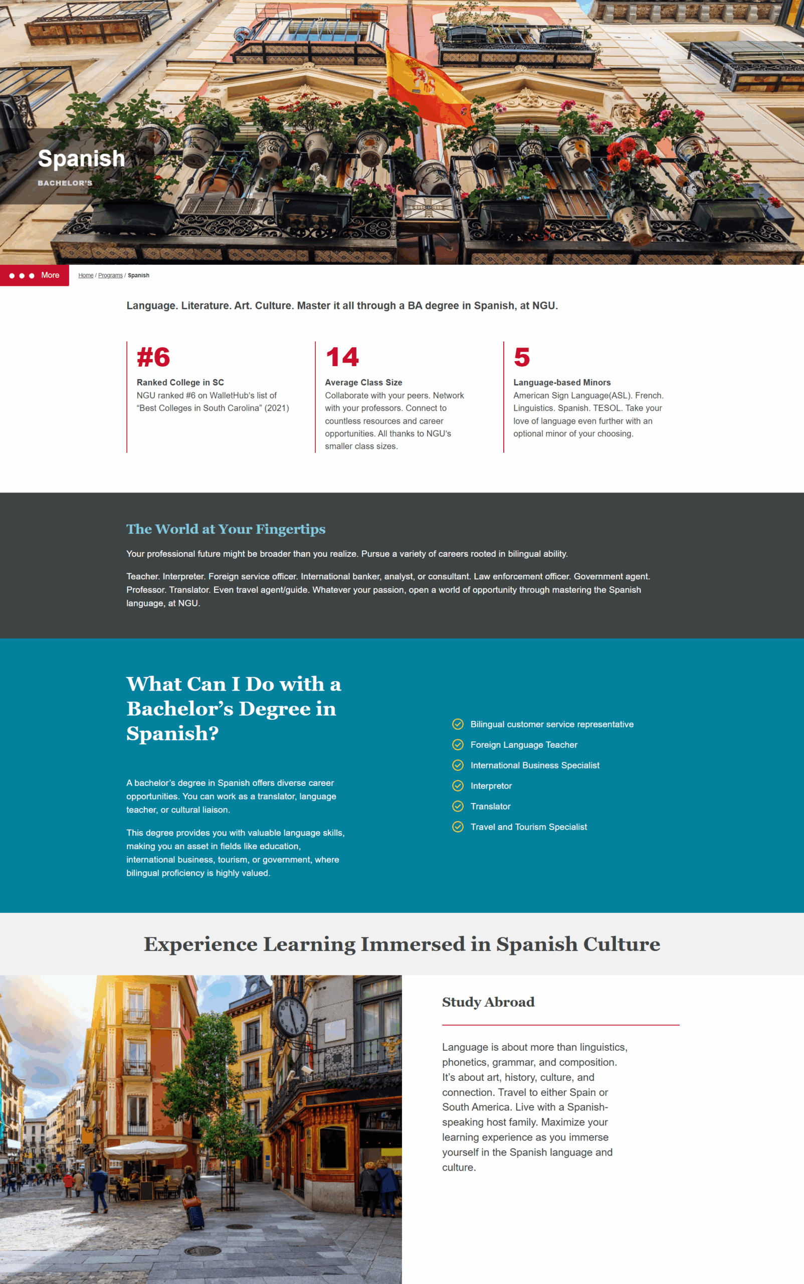 NGU website screenshot of Spanish program page